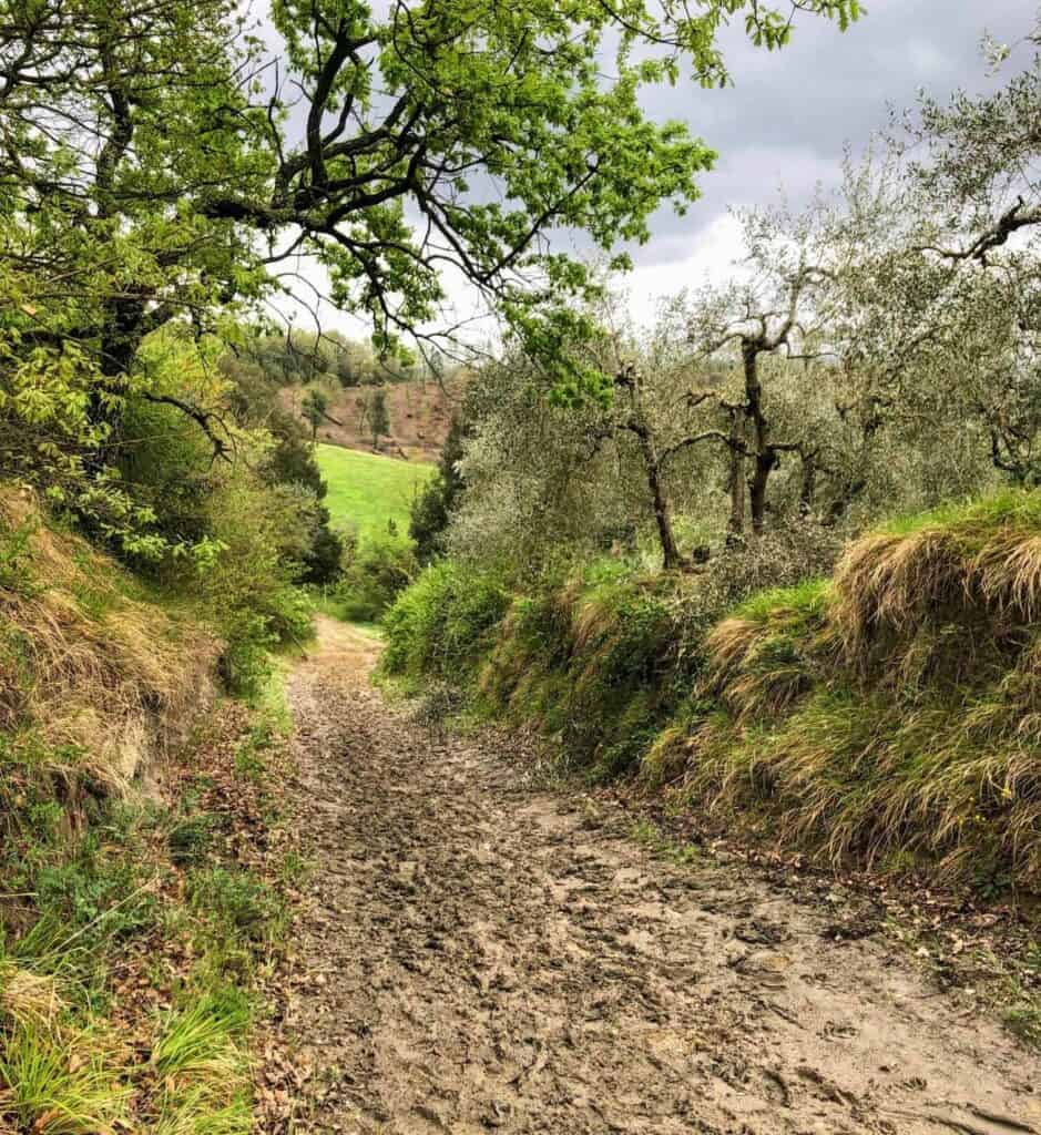Top Tips for Walking the Via Francigena