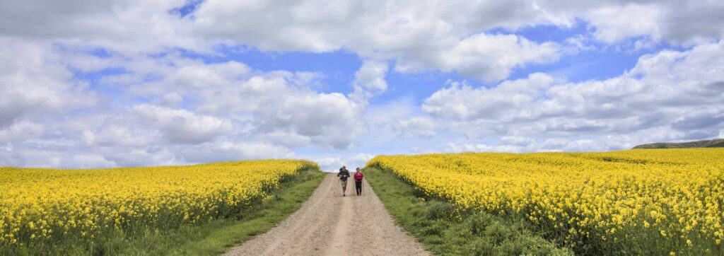 two pilgrims walk the Camino in Spain