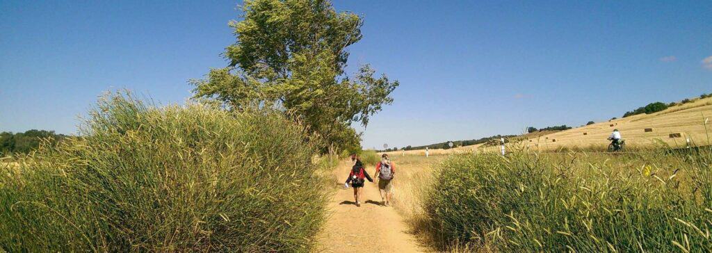 Fexible Camino travel Company