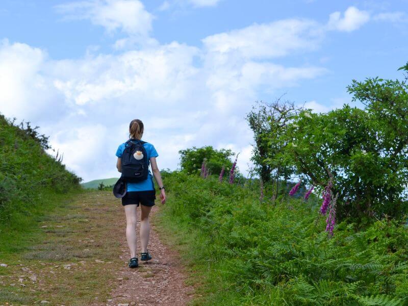 Pilgrim walking the Camino