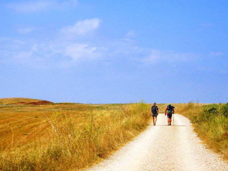 pilgrims walking the Camino