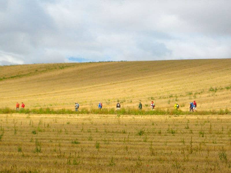 pilgrims walking the Camino large view