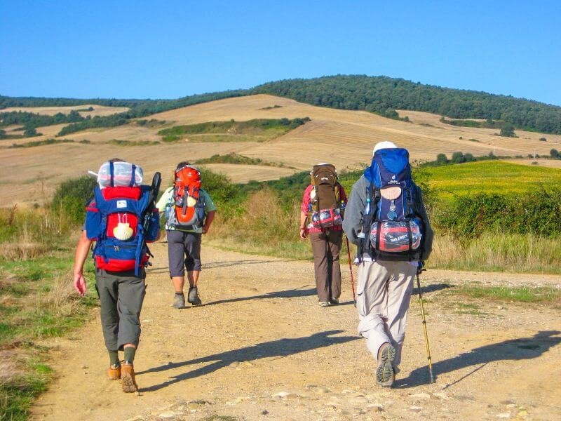 pilgrims walking the Camino