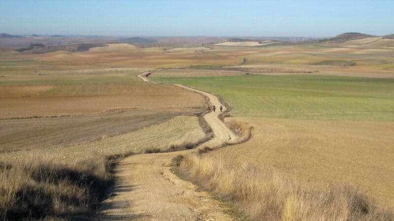 pilgrims dirt road fields on the Camino Frances