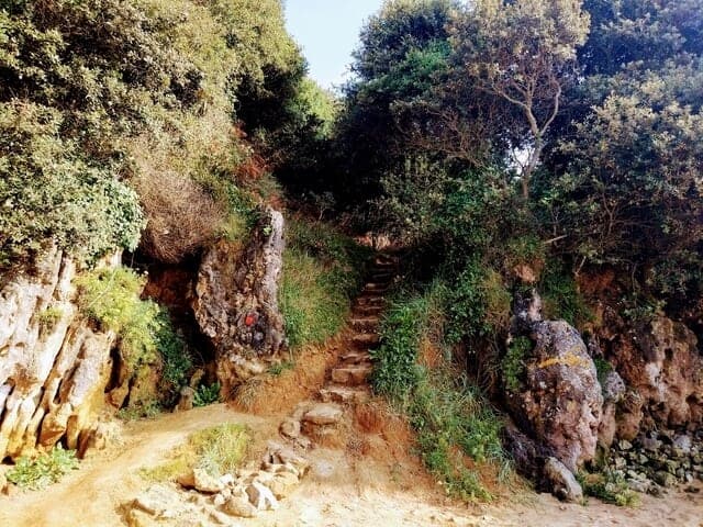 noja camino trail