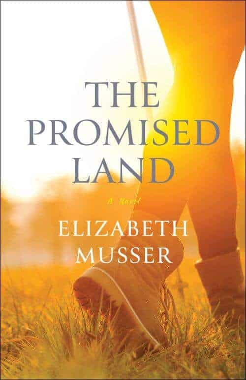 a book The Promised Land by Elizabeth Musser
