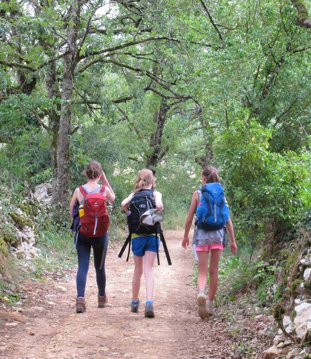 a picture of pilgrims walking through the forest