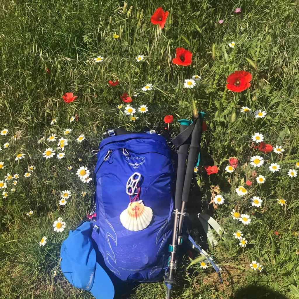 Bagpack with scallop shell