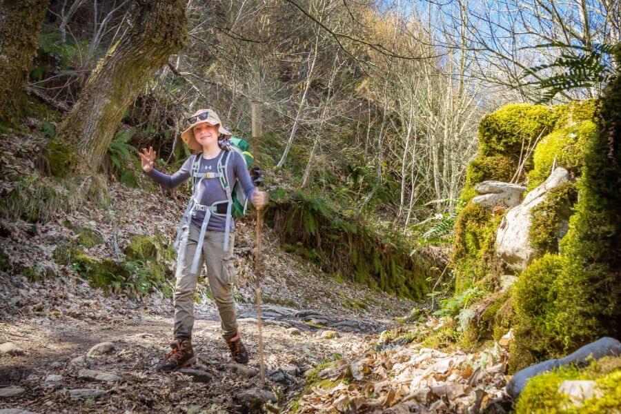 a picture of a pilgrim walking through the forest