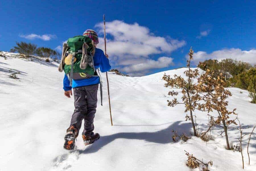 a pilgrim walking the Camino in winter