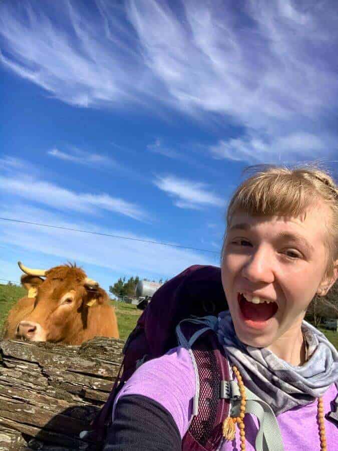 a picture of a pilgrim with a cow