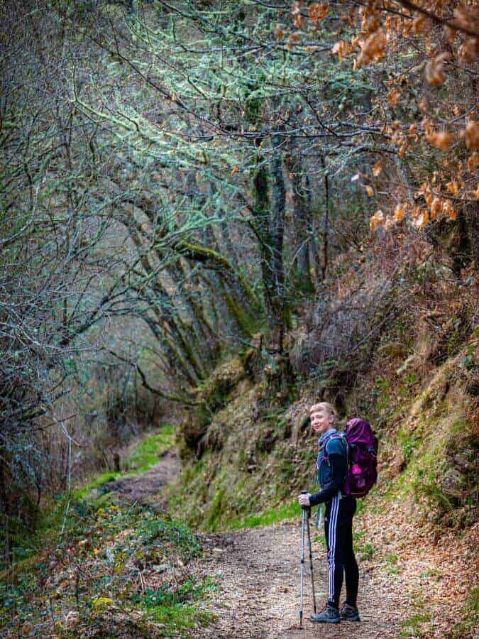 a picture of a pilgrim walking through the forest