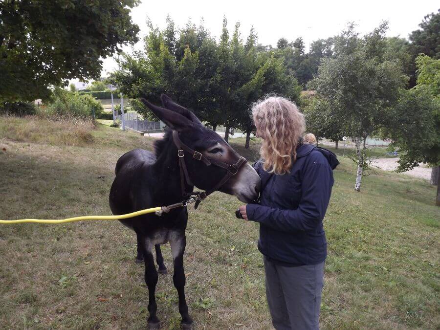 a picture of a pilgrim with a donkey