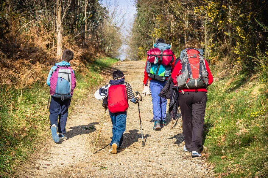 a family of pilgrims walking a path through the forest