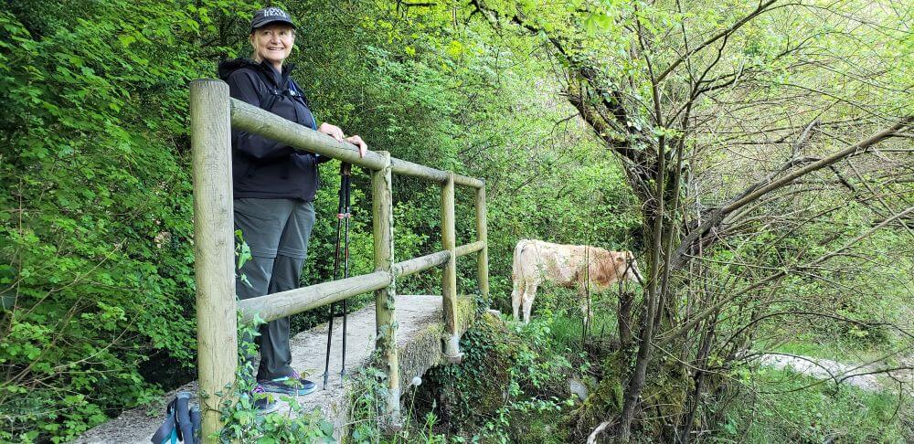 a pilgrim walking through the forest with her dog