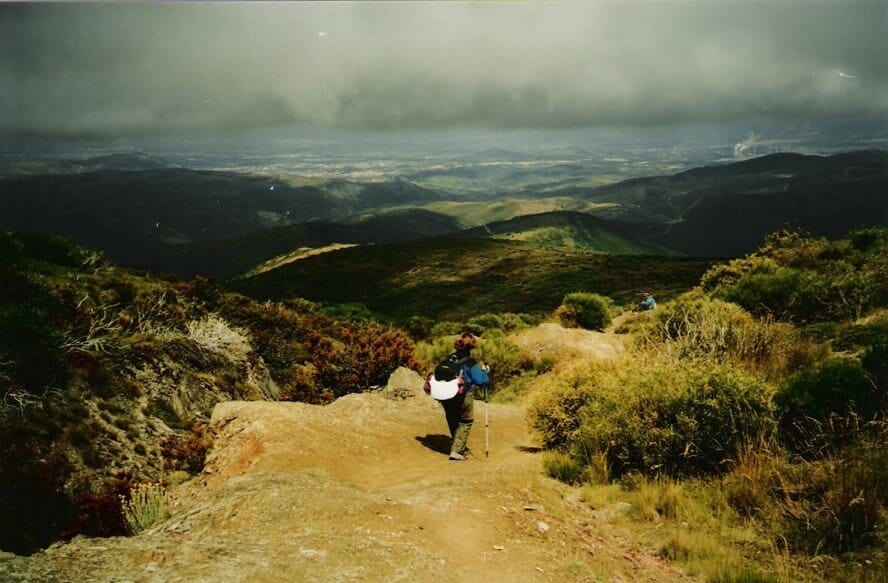 a picture of a pilgrim walking through forests