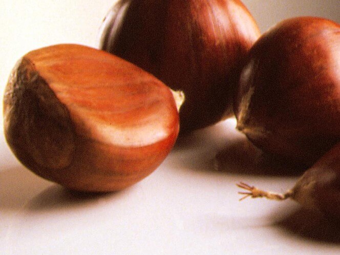chestnuts from Galicia a staple of Galician cuisine