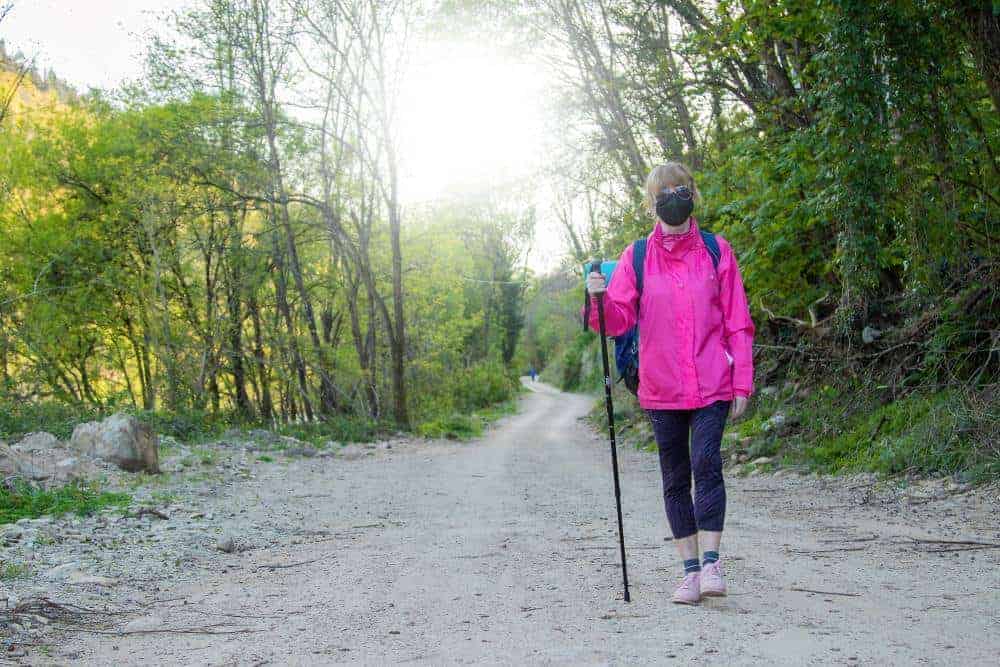 a picture of a pilgrim walking through a forest