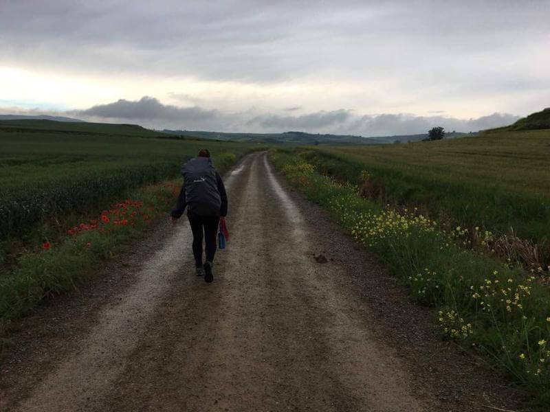 a picture of a pilgrim walking through the valley