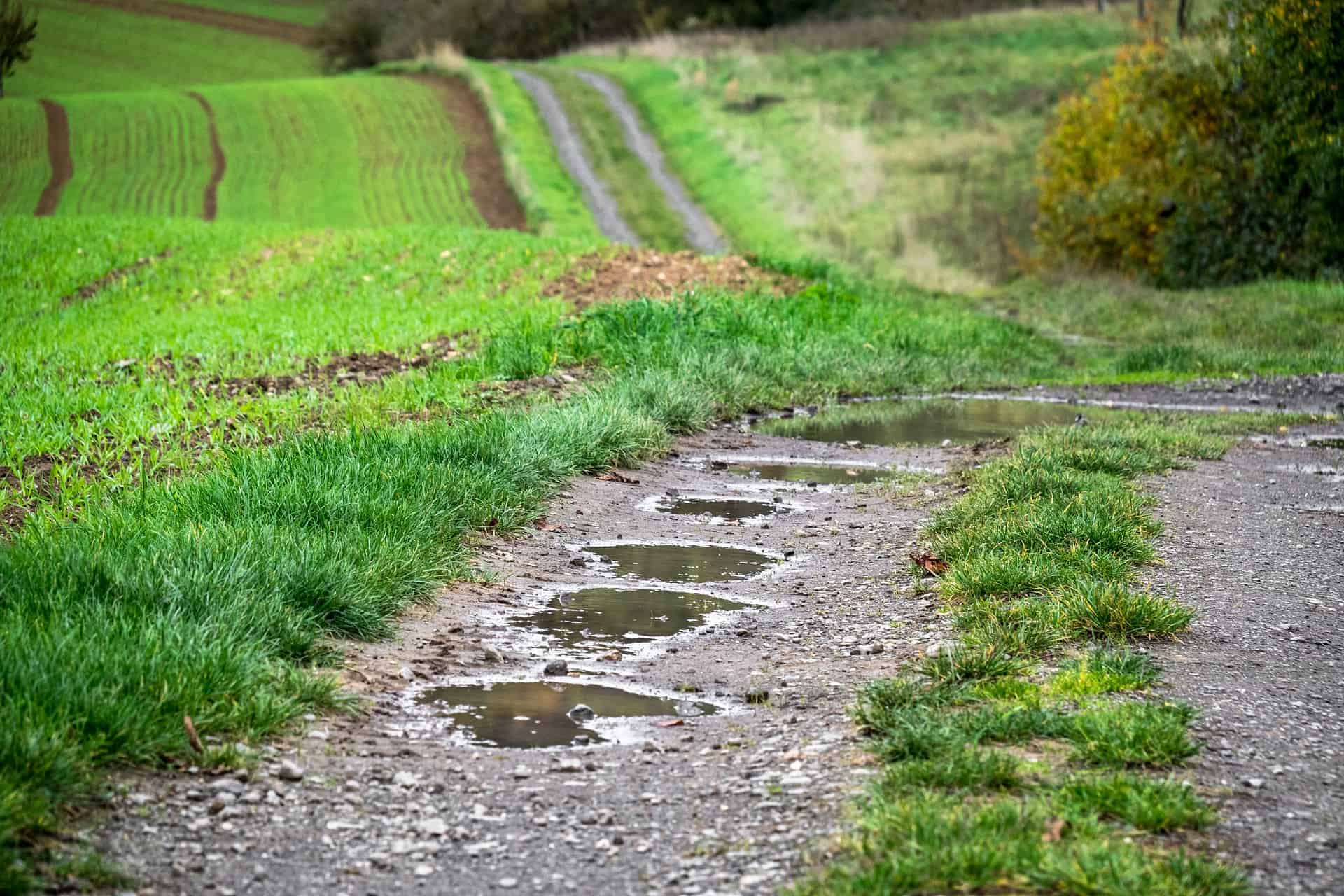a picture of a path
