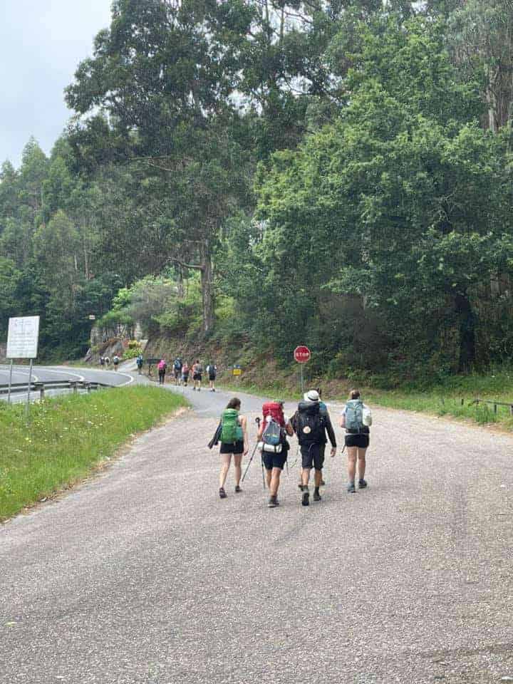 a picture of a group of pilgrims on their way to the forest