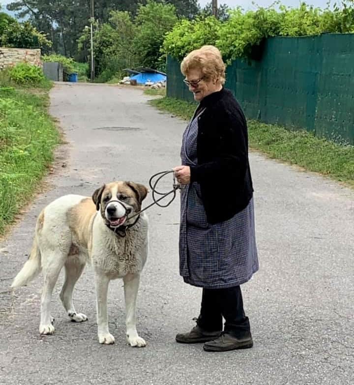 a picture of a local woman with a dog