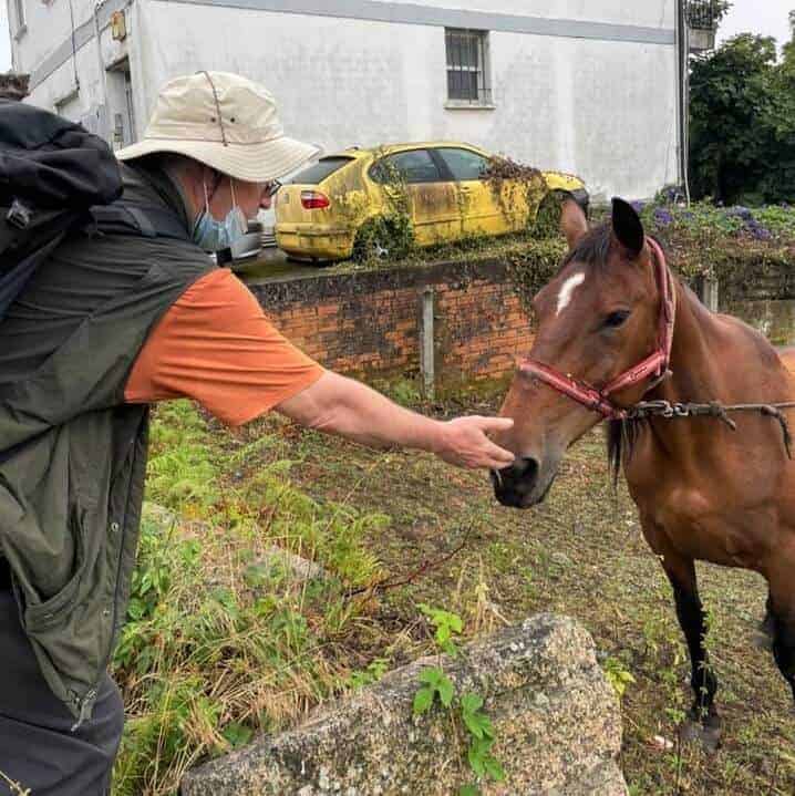 a picture of a pilgrim with a horse