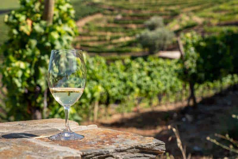 a picture of a glass of wine