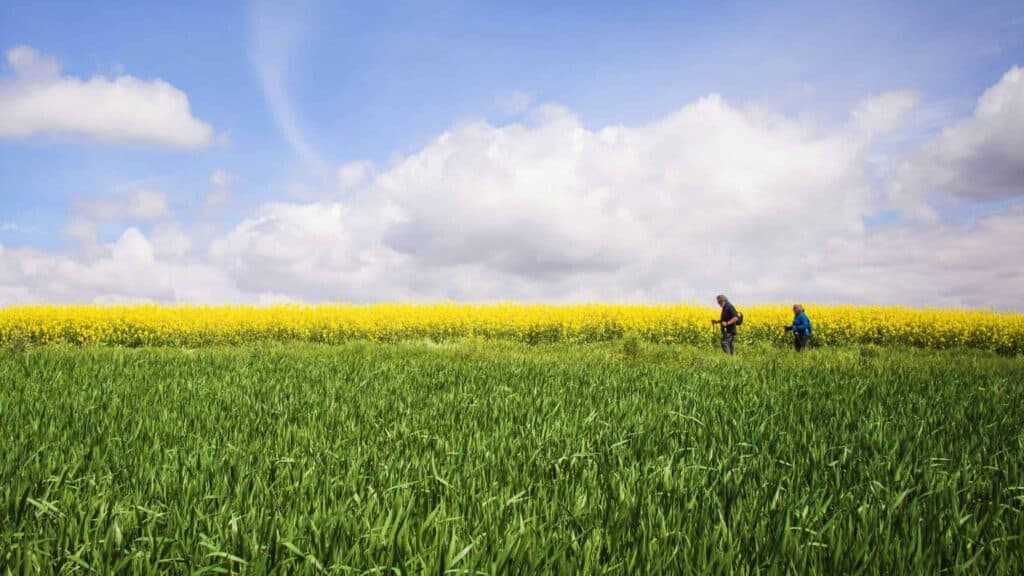 a picture of 2 pilgrims walking through the yards on a path