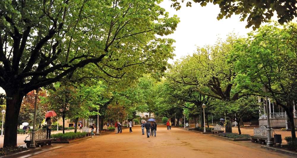 a picture of a park
