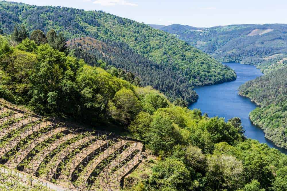 a picture of a landscape. There is a river leading through the valley