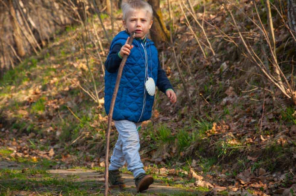 a picture of a boy walking through the forest with his walking stick