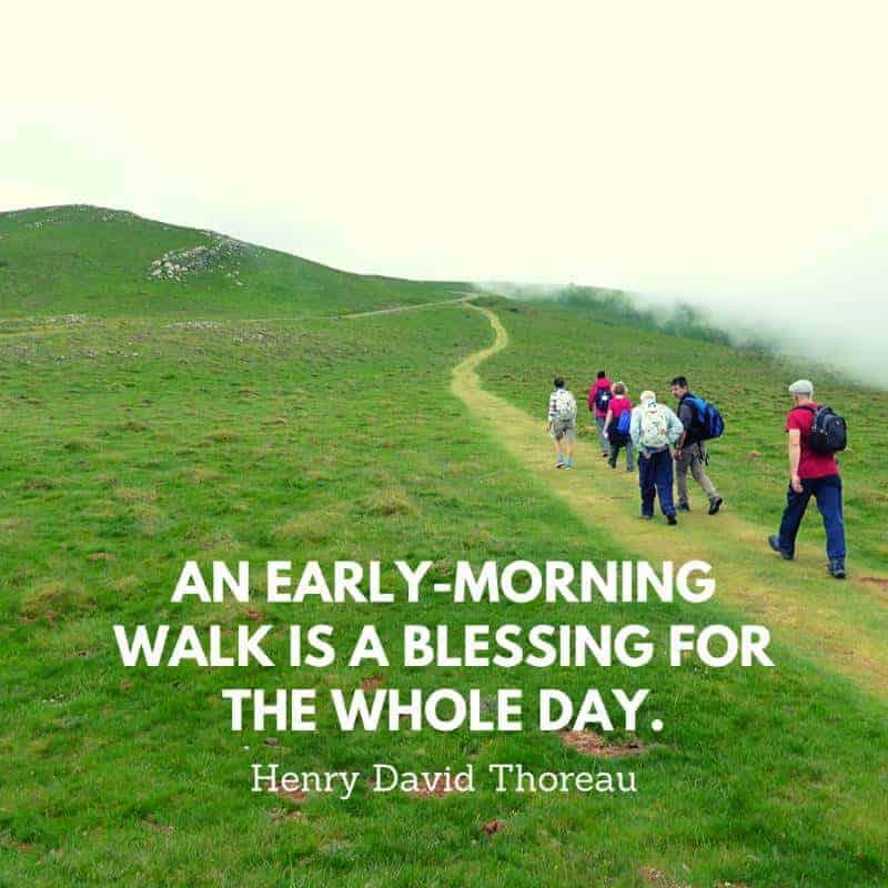 a quote by Henry David Thoreau
