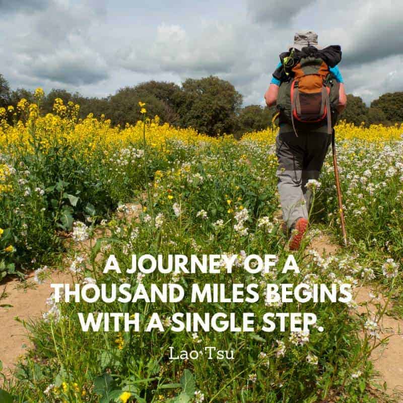 a quote by Lao Tsu