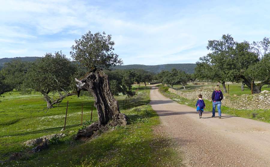a picture of a mother and daughter walking through the valley on a path which leads to the forest