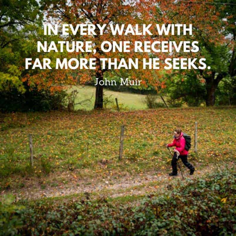 a quote by John Muir