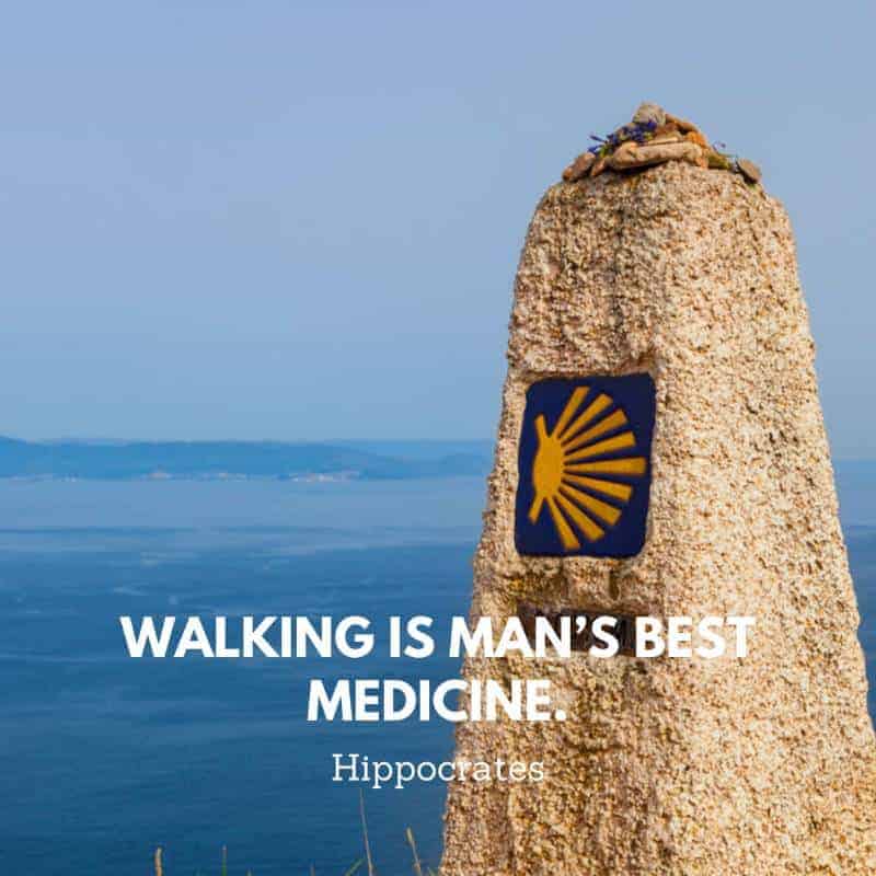 a quote by Hippocrates