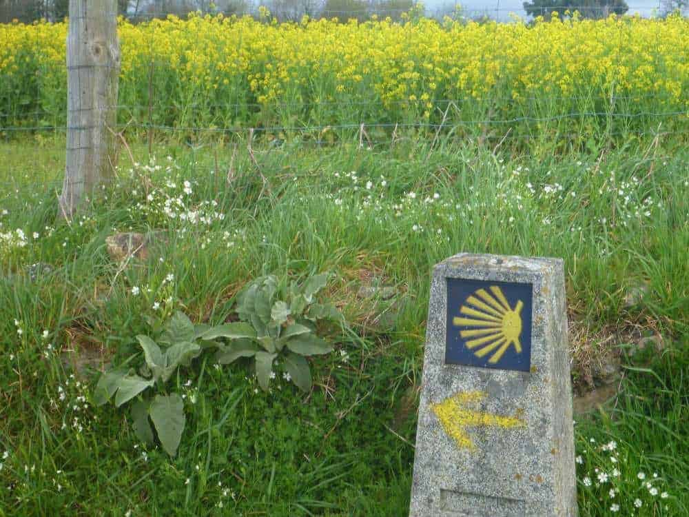 a picture of a milestone