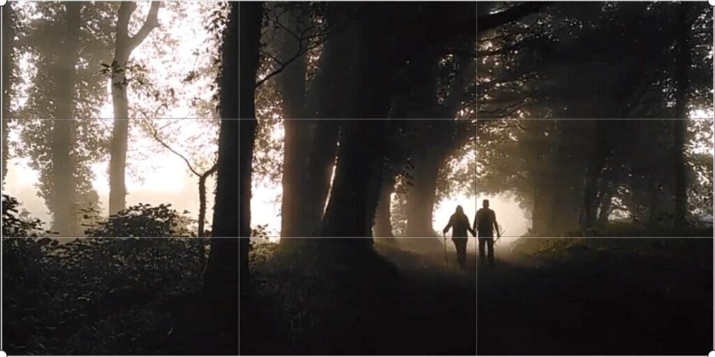 a picture of 2 pilgrims walking through the forest on the Camino