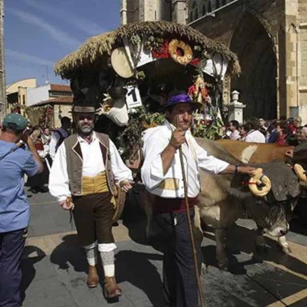 San Froilan festival lugo