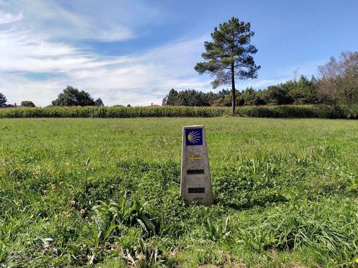 Short Camino Marker
