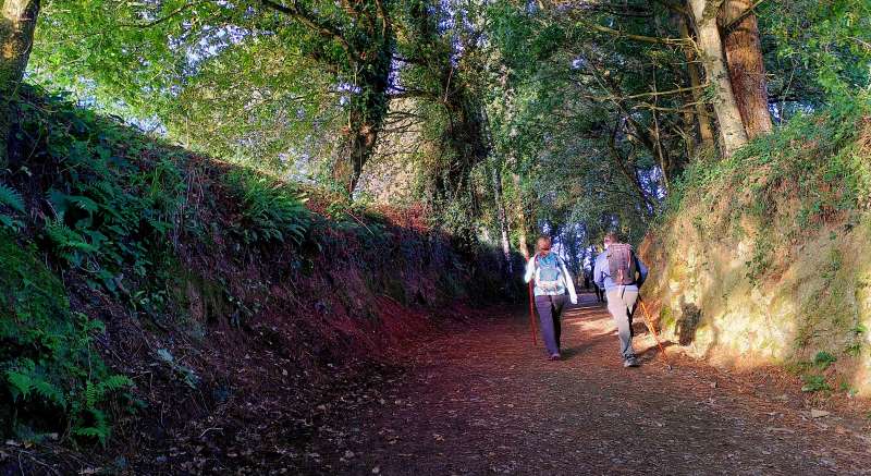FAQ Camino people walking