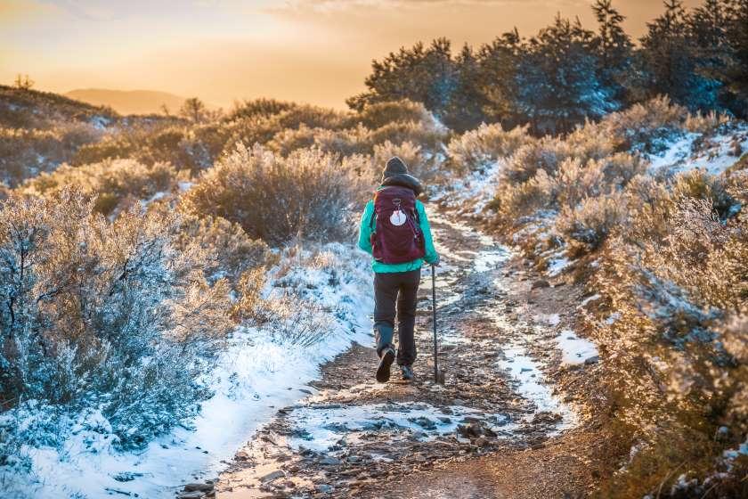 pilgrim walking the camino in winter Autumn webinar Follow the Camino