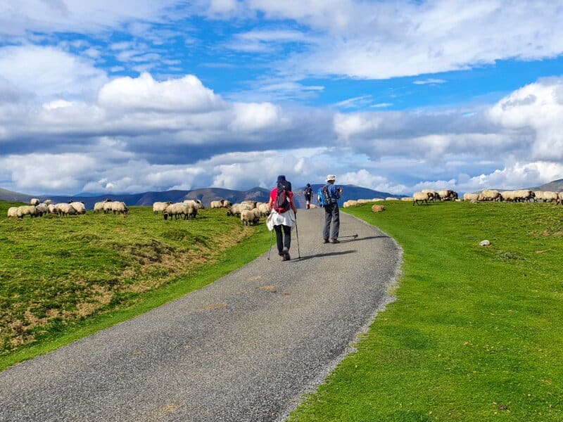 pilgrims walking the Camino Follow the Camino best deal