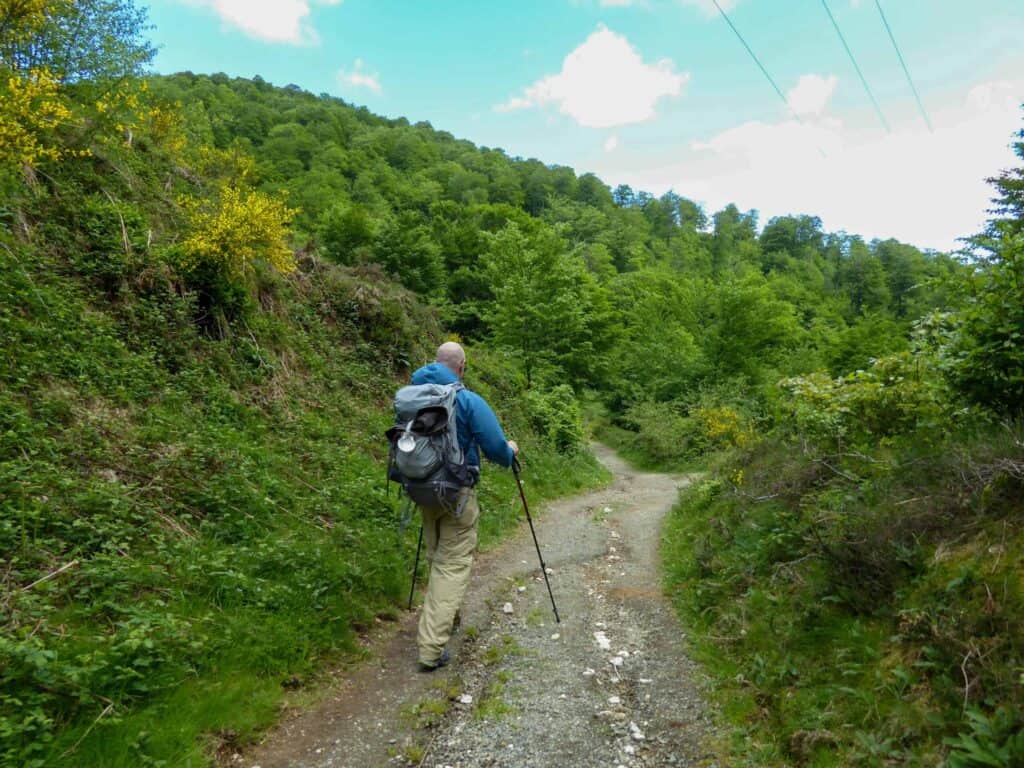 People Walking the Camino in spring