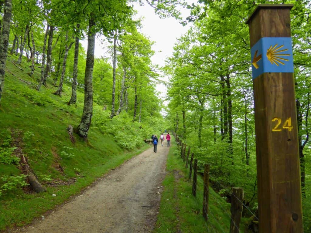 People Walking the Camino in spring