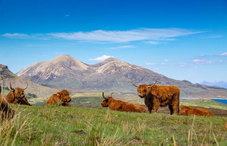 Pilgrimage Road to the Scottish Isles Camino