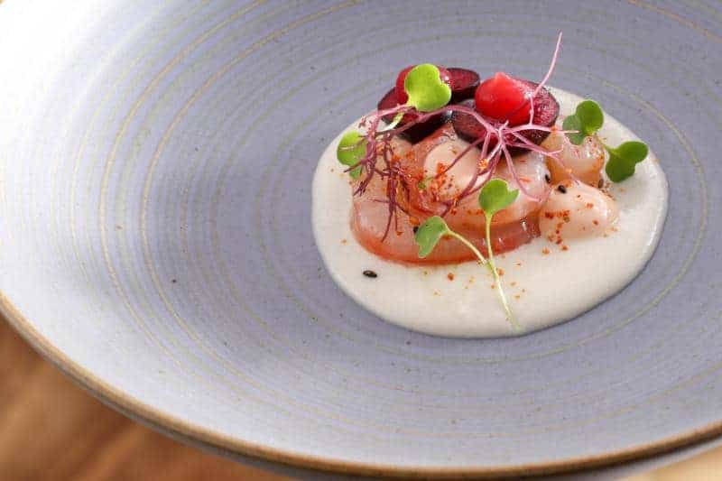 Michelin star restaurant on the Camino Kokotxa