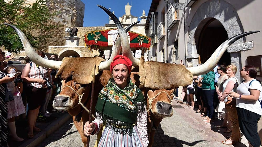 Festival on the Camino