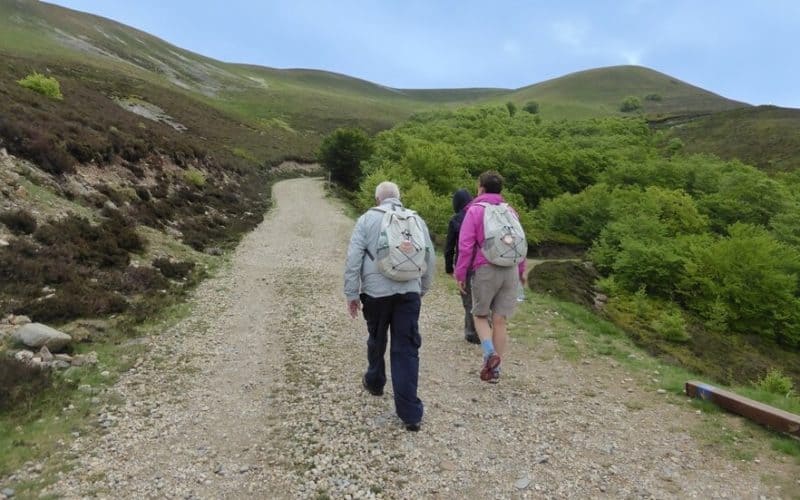 people walking on the path Camino in October